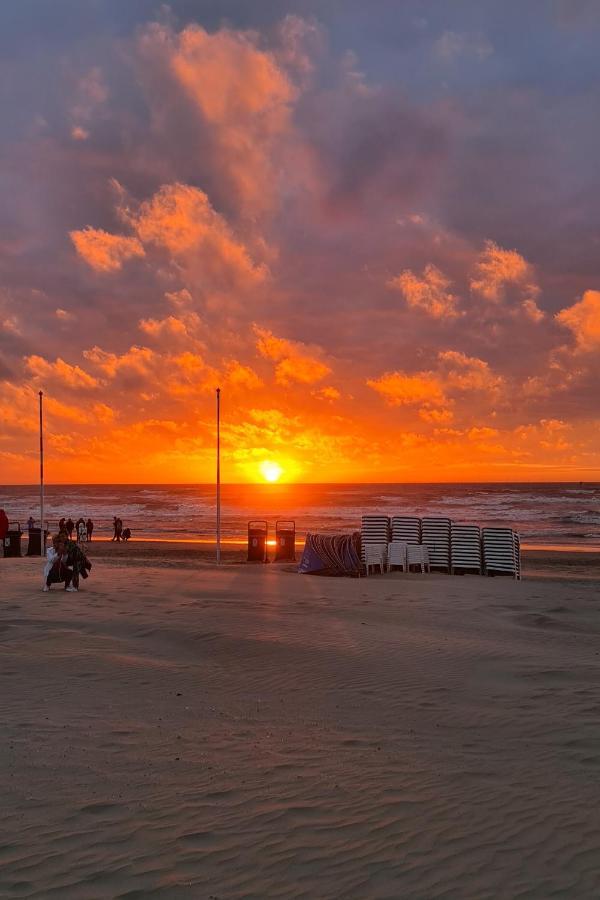 B&B Het Duinhuisje Met Jacuzzi, Gratis Parkeren, 2 Fietsen Te Leen, Airco Zandvoort Exterior photo